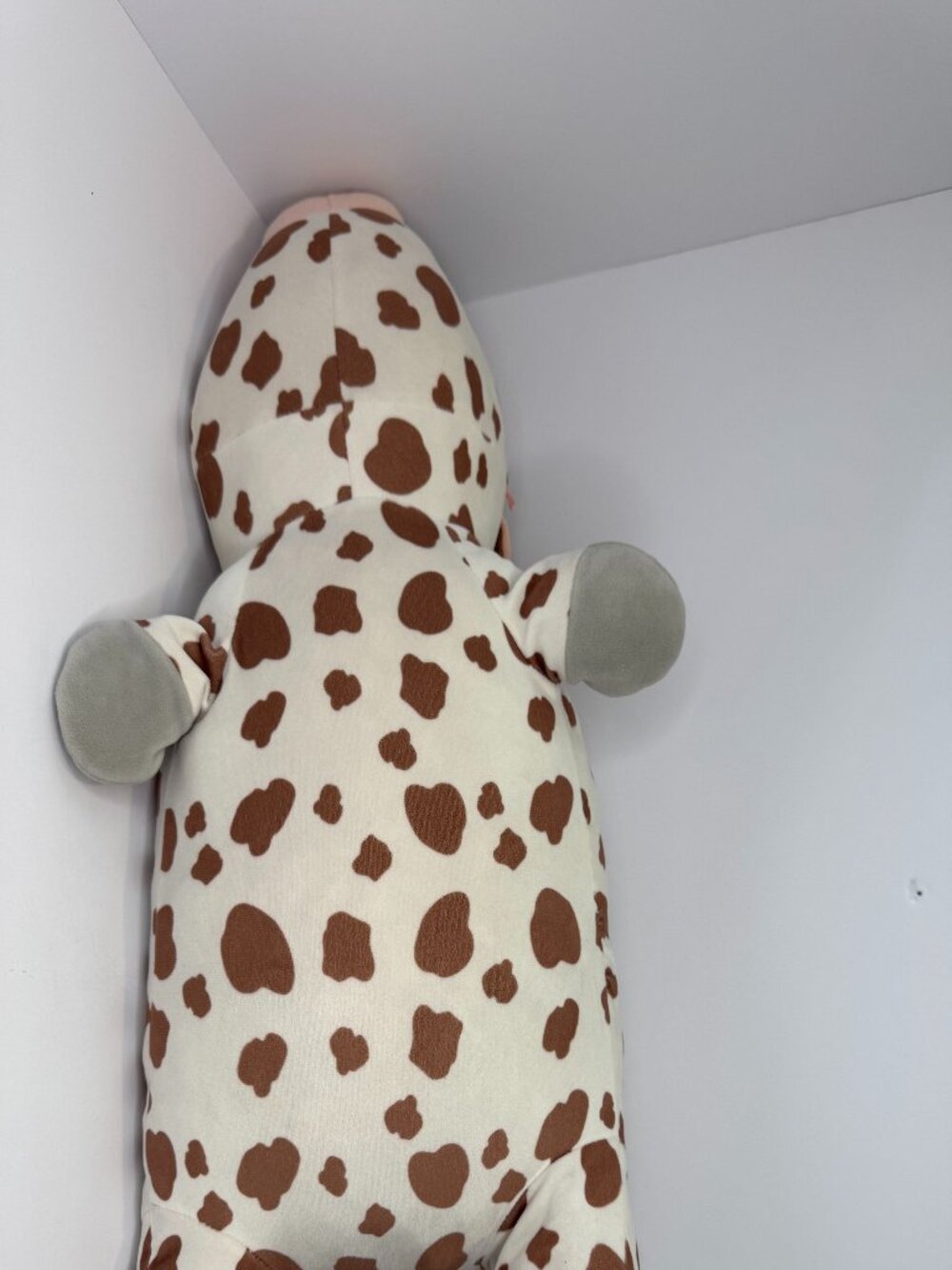22” Hugmallow Squishmallow Spotted Cow Plush Laying Down Stuffed Animal HTF Rare - Picture 8 of 8